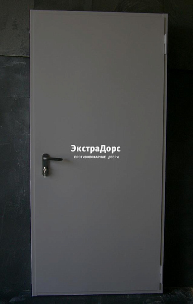 Дверь металлическая противопожарная EI 60 ДПМ 2 типа серая в Долгопрудном  купить
